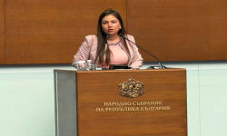 Галя Василева: По-високи осигуровки без по-високи заплати – това предлага бюджетът