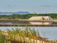 Ученици опознават с конкурс езерата Вая, Мандра и Атанасовско