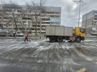 Почистиха с препарати бул. „Демокрация“ в участъка между ул. „Дунав“ и бул. „Сан Стефано“