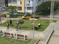 Над 360 нови фиданки са засадени в кампанията за по-красиво и зелено Поморие