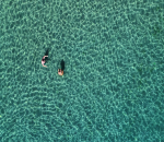 Властите: Морето е чисто, няма риск за туристите