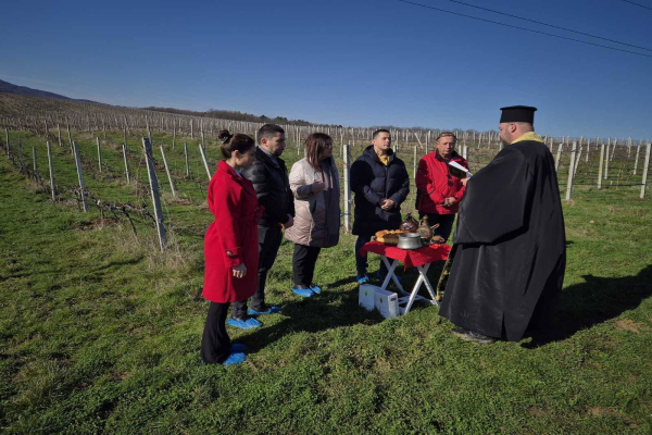 В Лозенец и Фазаново зарязаха ритуално лозята за здраве и берекет  