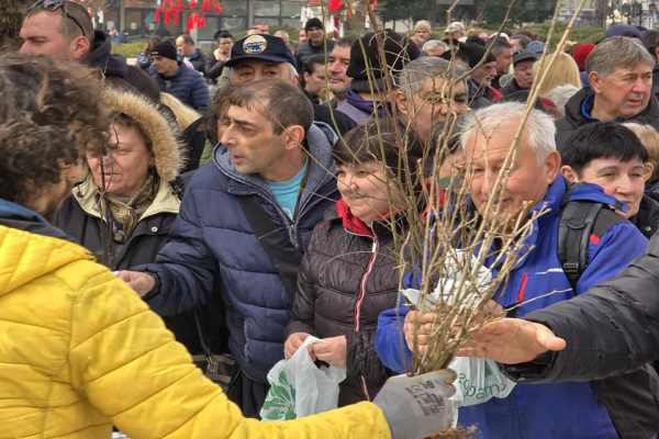 Гората.бг подарява хиляди плодни, медоносни и паркови дръвчета в Бургас