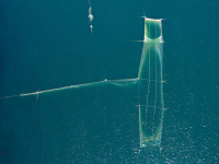 Заключителна среща по проекта MARMAPS събра страни, подкрепящи усилията за опазване на морските екосистеми 