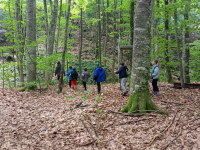 От Природен парк „Странджа“  тръгва нов  5-етапен културно-поклоннически  маршрут