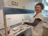 Микробиолозите на УМБАЛ-Бургас представят редки бактерии на научен форум